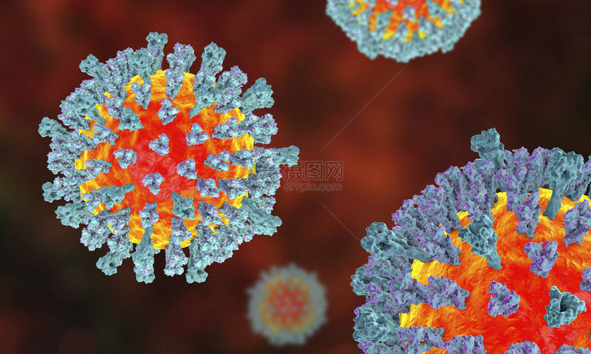 3D图解显示麻疹的结构图片