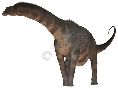 亚金诺龙是阿根廷白鲸时代的一头恐龙巨人座图片