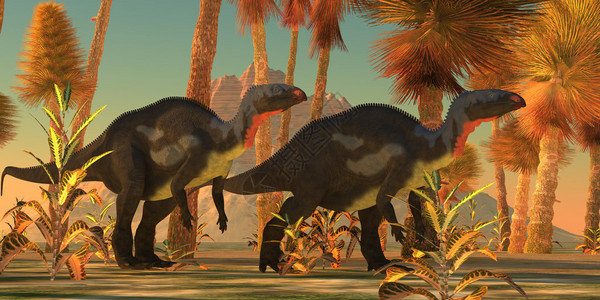 两只黑龙恐在史前丛林环境中游荡图片