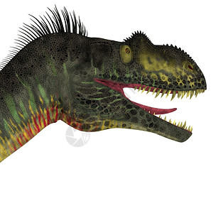 巨龙是欧洲侏罗纪时期的大型食肉类图片