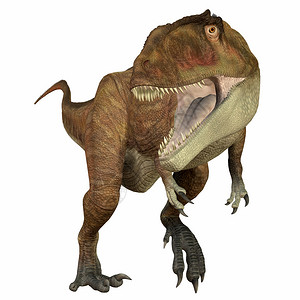 是一种食肉类的亚霍波德恐龙图片