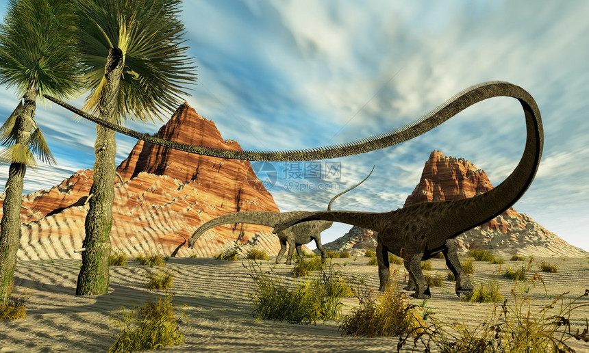 两只Diplodocus恐龙在沙漠图片