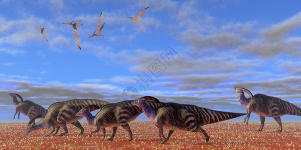 在沙漠中迁徙寻找更佳的植被这片沙漠里的恐龙们图片
