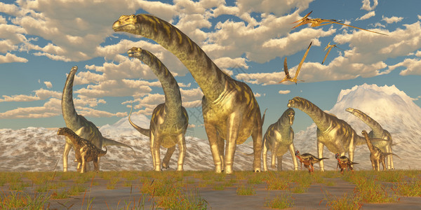 长效磷和白龙恐随着一群亚金诺沙龙年向气温升插画