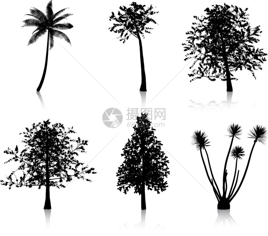 六个不同树剪影的集合图片