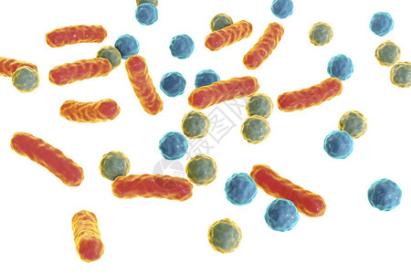 梭鲈白色背景上孤立的不同形状的细菌设计图片