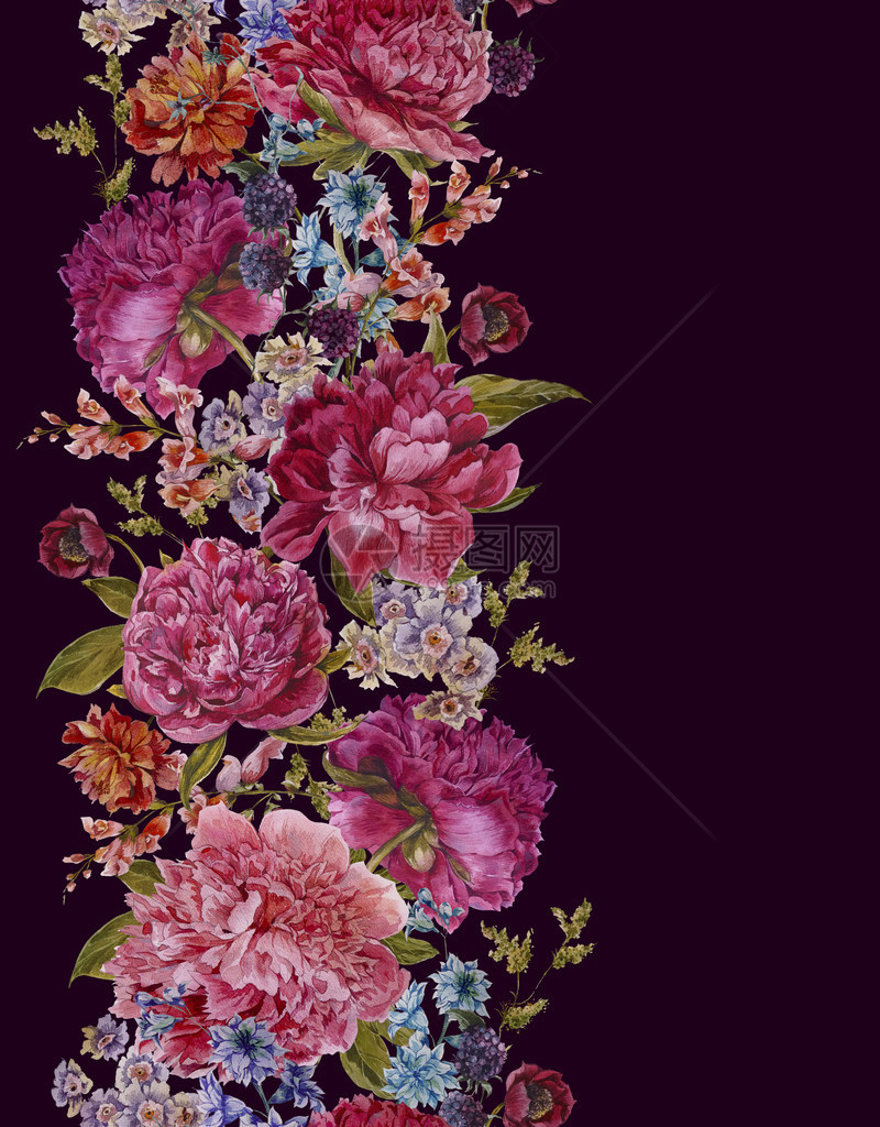 复古风格的勃艮第牡丹风信子黑莓和野花卉无缝水彩边框植物贺卡深色图片