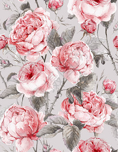 古老的花原无缝结构水彩花束英式玫瑰花美背景图片