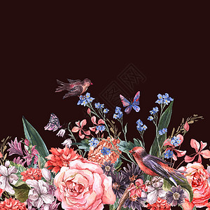 花卉无缝水彩边框与玫瑰风信子蝴蝶野花和复古风格的鸟图片
