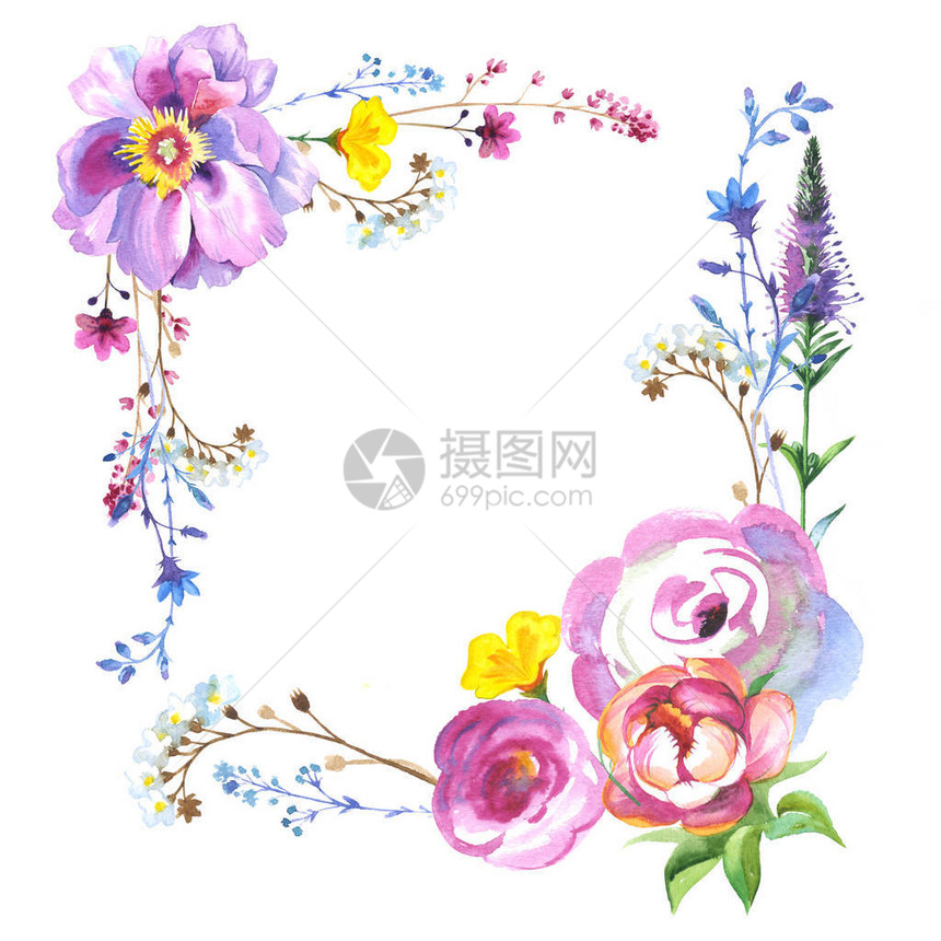 孤立的水彩风格野花玫瑰花框图片