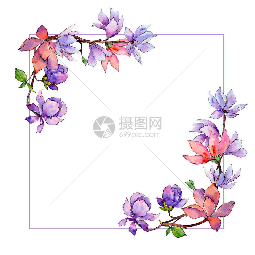 水彩风格的野花玉兰花框图片