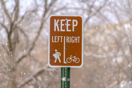 保持左保持右标志反对树木和雪图片