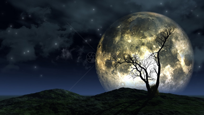 在夜空中对着大月亮的树图片