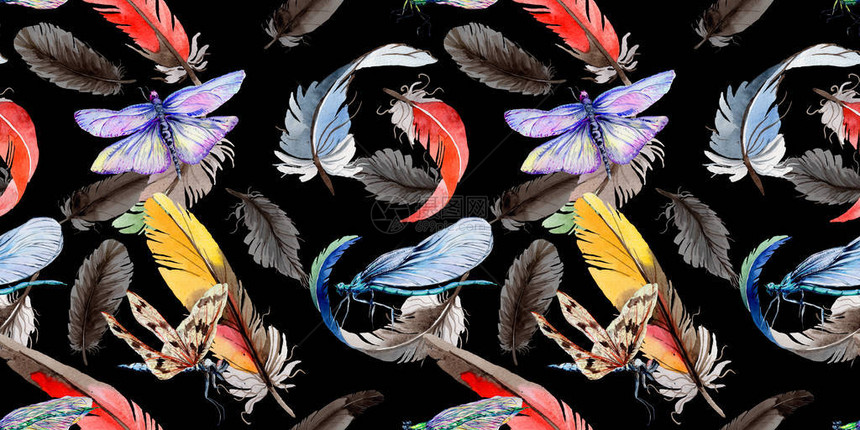 羽翼上的水彩鸟羽毛图案秋花野的背景纹理包装模式图片