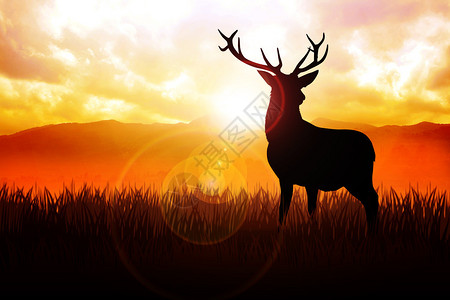 拼捕日出时在草地上捕鹿的Silhou设计图片
