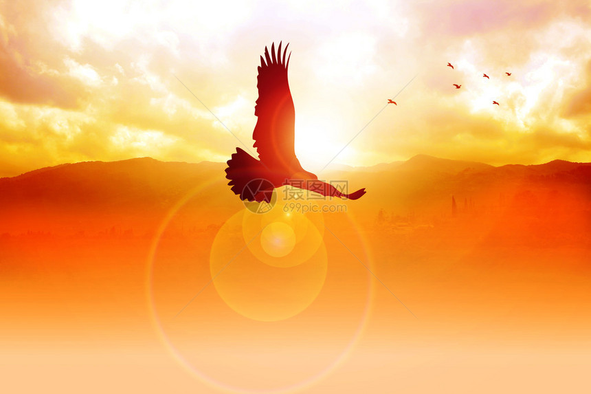 一只老鹰在日出时飞翔的剪影插图图片