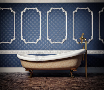 古典风格浴缸和C图片