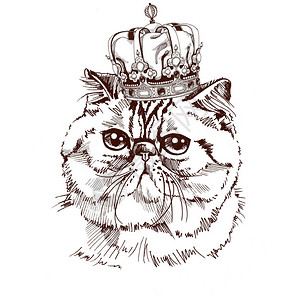 手绘带有皇冠的异国短毛猫肖像图片