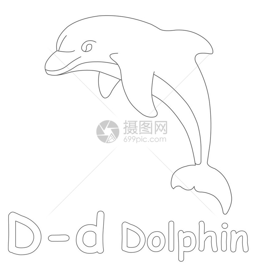 D用于海豚颜图片