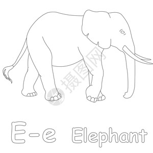 代表大象彩页图片
