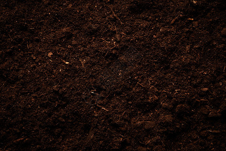 泥炭暗土农业背景设计图片