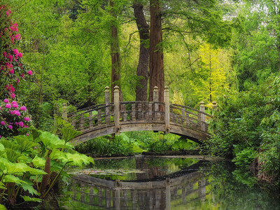 英式花园中的日式桥图片
