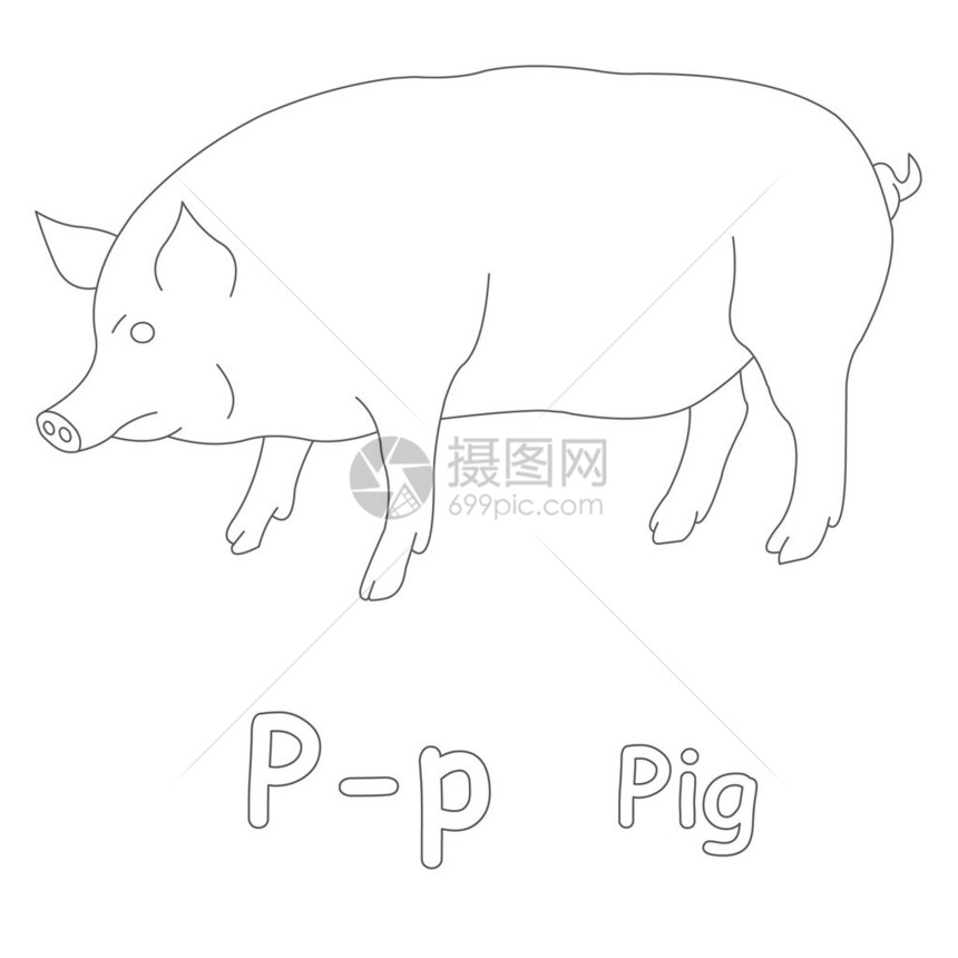 P代表猪着色页图片