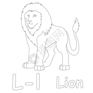 L代表狮子彩页图片