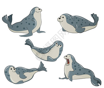 卡通灰色斑海豹矢量插画