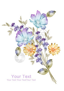 简单背景上的花朵水彩插图图片