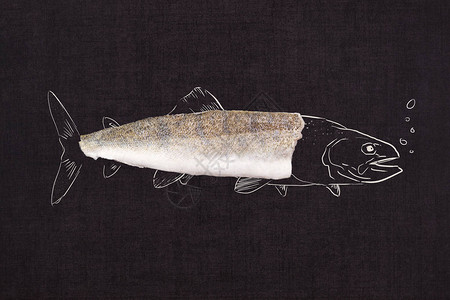 鱼片切与鱼插图隔离在黑色背景图片