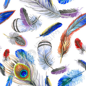 羽翼上的水彩鸟羽毛图案秋花野的背景纹理包装模式背景图片