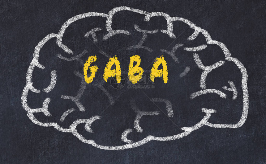 在黑板上画出人脑上面刻着GABA图片