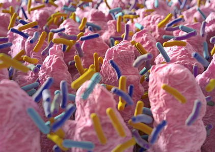 芒果益菌多肠道细菌微生物组3D插图设计图片