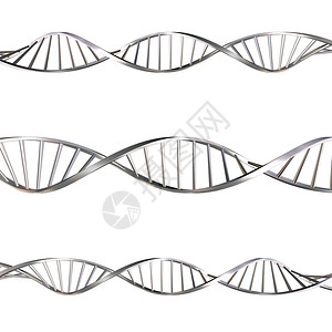 DNA链的3D渲染图片