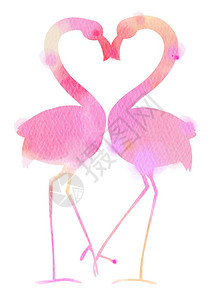 浪漫的粉红色火烈鸟的剪影水彩画加入头部图片