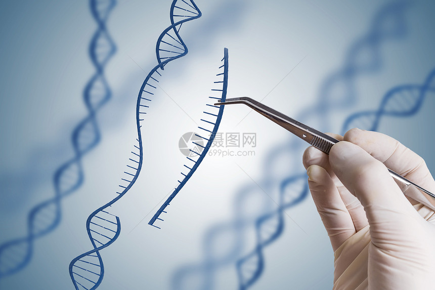 基因工程转基因生物和基因操纵概念图片