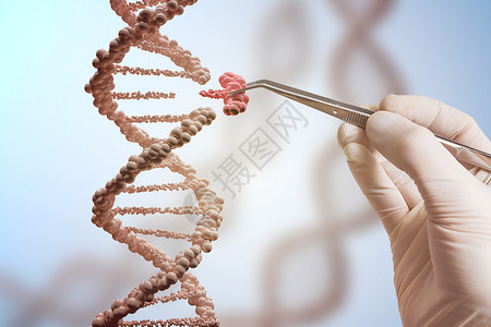基因工程和基因操纵概念手正在替换DNA图片