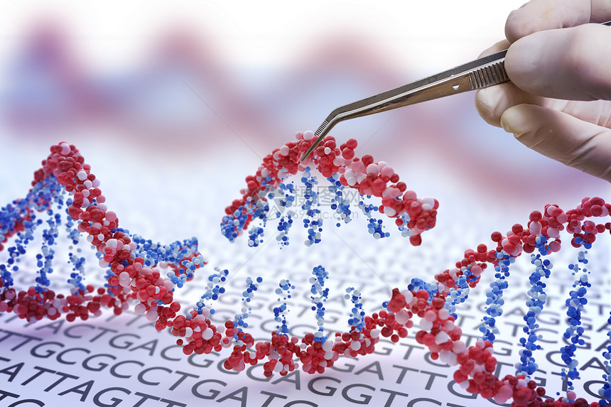 基因工程转基因生物和基因操纵概念图片