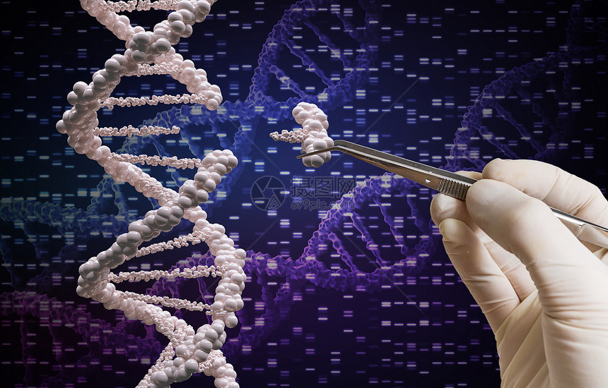 基因操纵和DNA修改概念a遗传处理和D图片