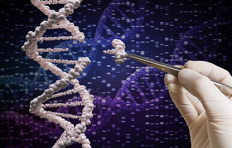 基因操纵和DNA修改概念a遗传处理和D背景图片