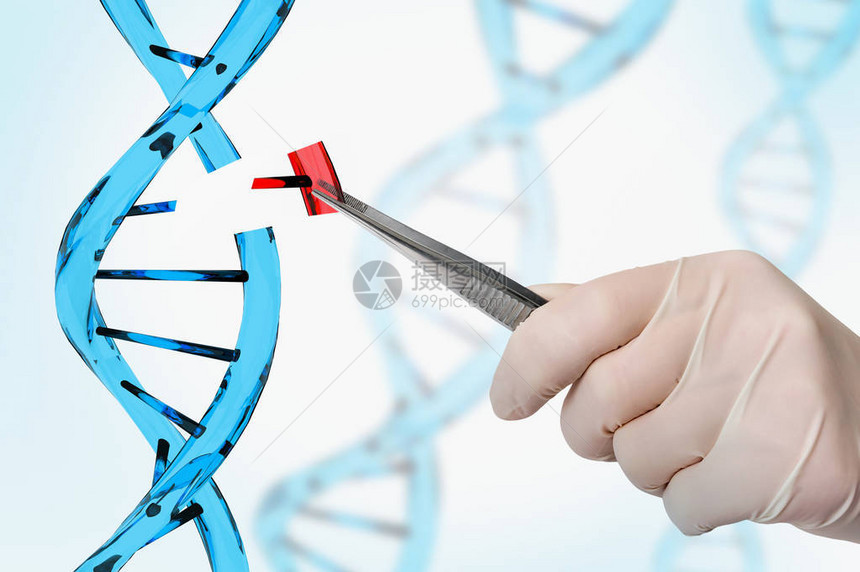 替换DNA的科学家之手基因工程和图片