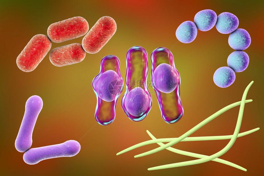 彩色背景上的微生物图片