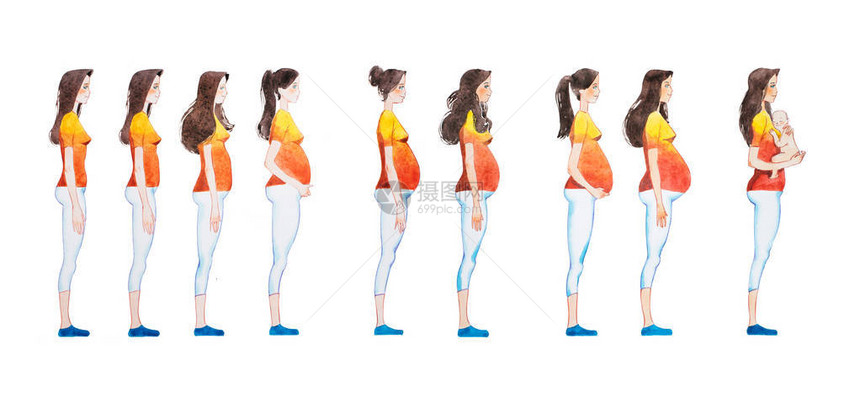怀孕阶段的卡通插图显示她身体变化的孕妇图片
