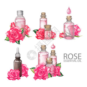 以粉红玫瑰装饰的油瓶收集水彩花水图片