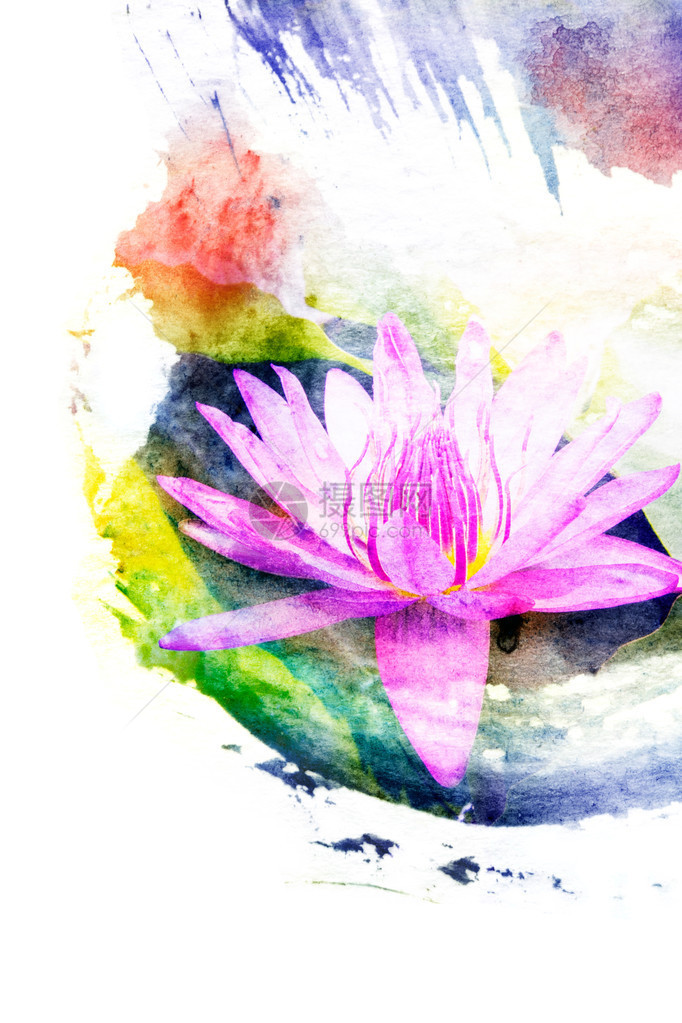 开花紫色莲花的抽象水彩插图纸本水彩画图片