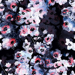 粉色花卉黑色背景图图片