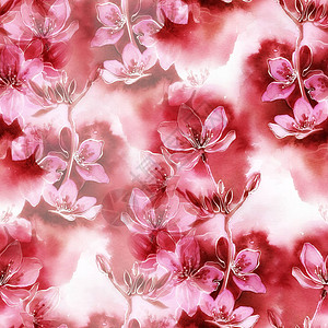 粉色花卉背景图图片