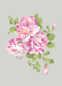 012手工绘画美丽的玫瑰花束设插画