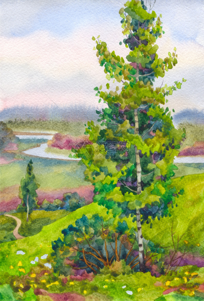 水彩风景河谷上方小山上的白桦树图片